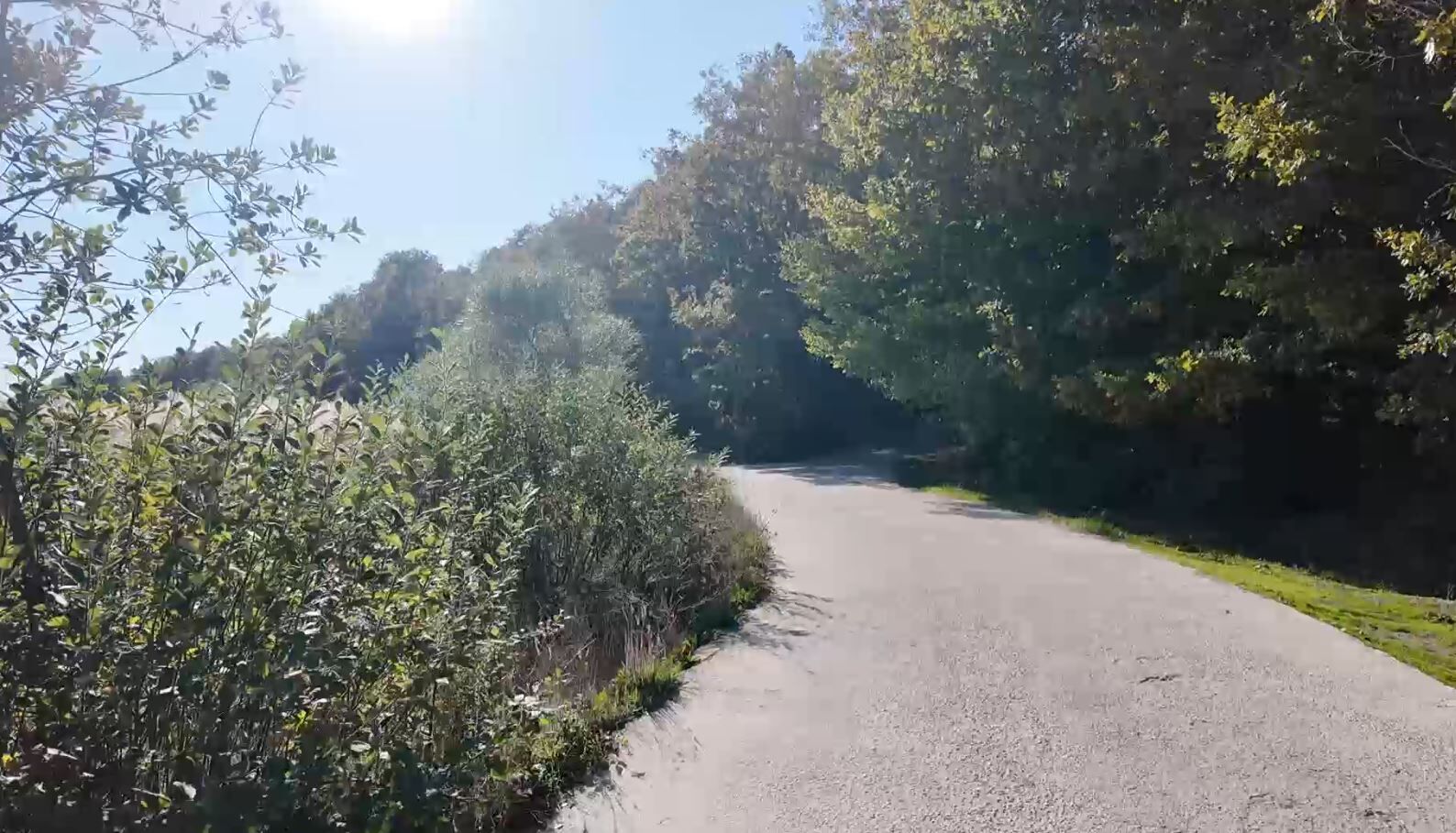 Danamandıra6