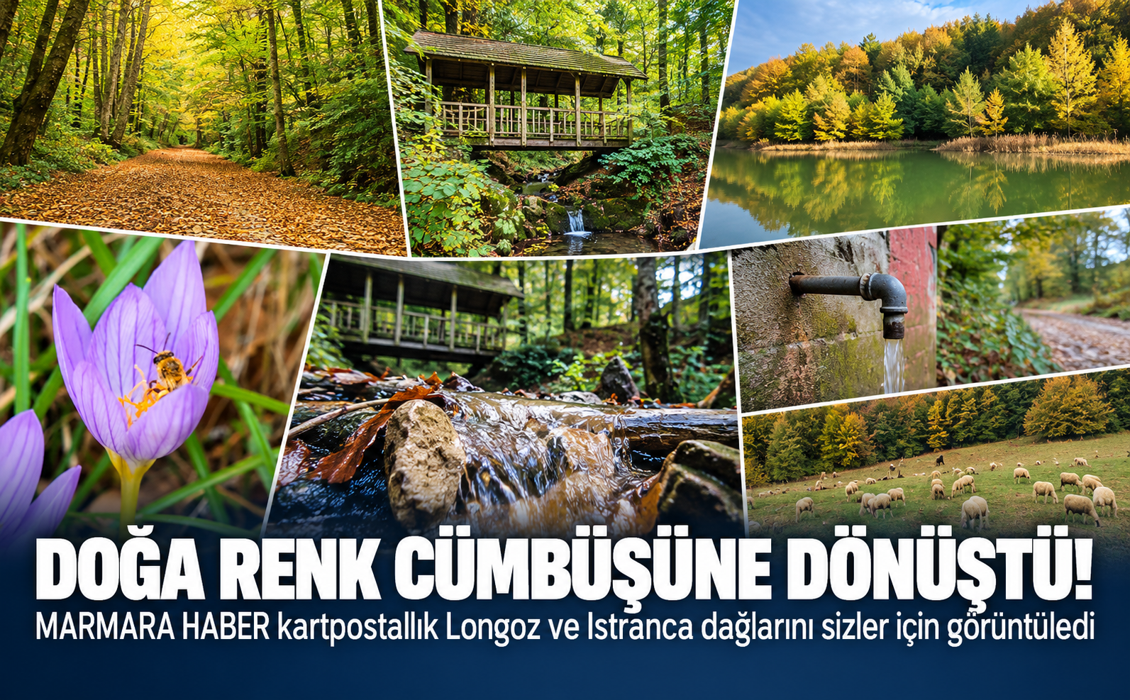 Doğa Renk Cümbüşü
