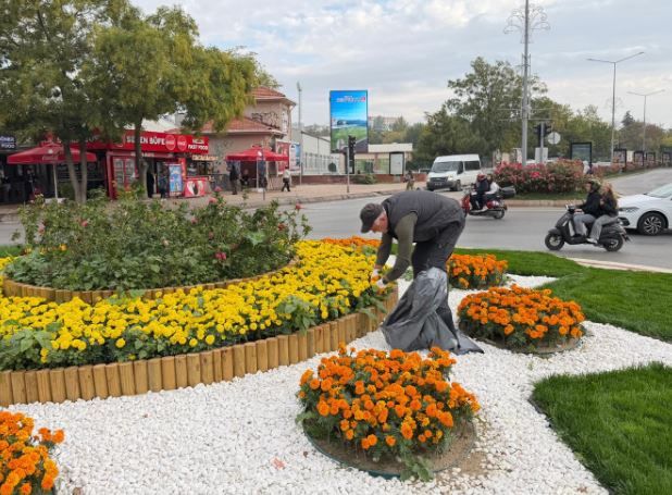 Edirne Fidan