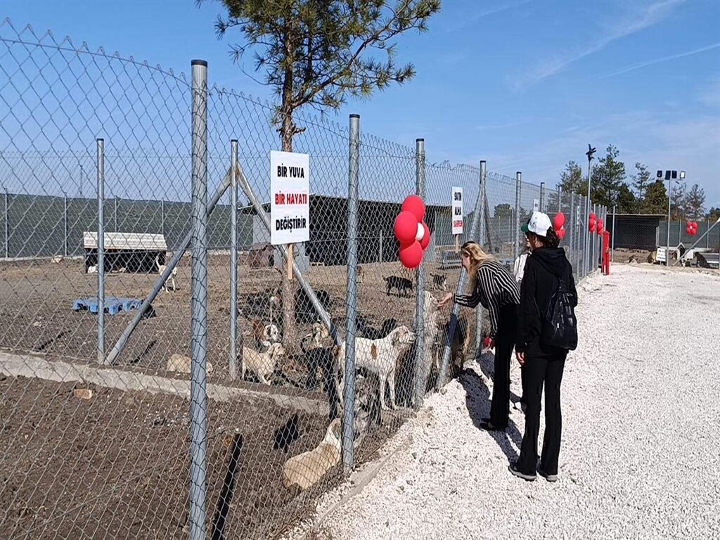 Edirne2-2