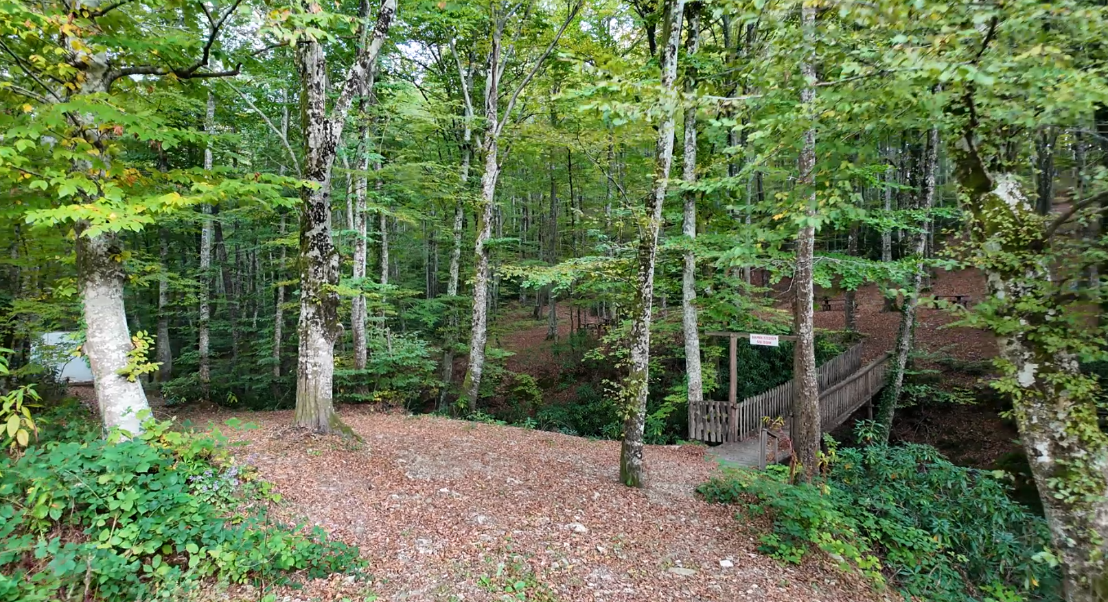 Ekran Görüntüsü 2026 10 23 163356