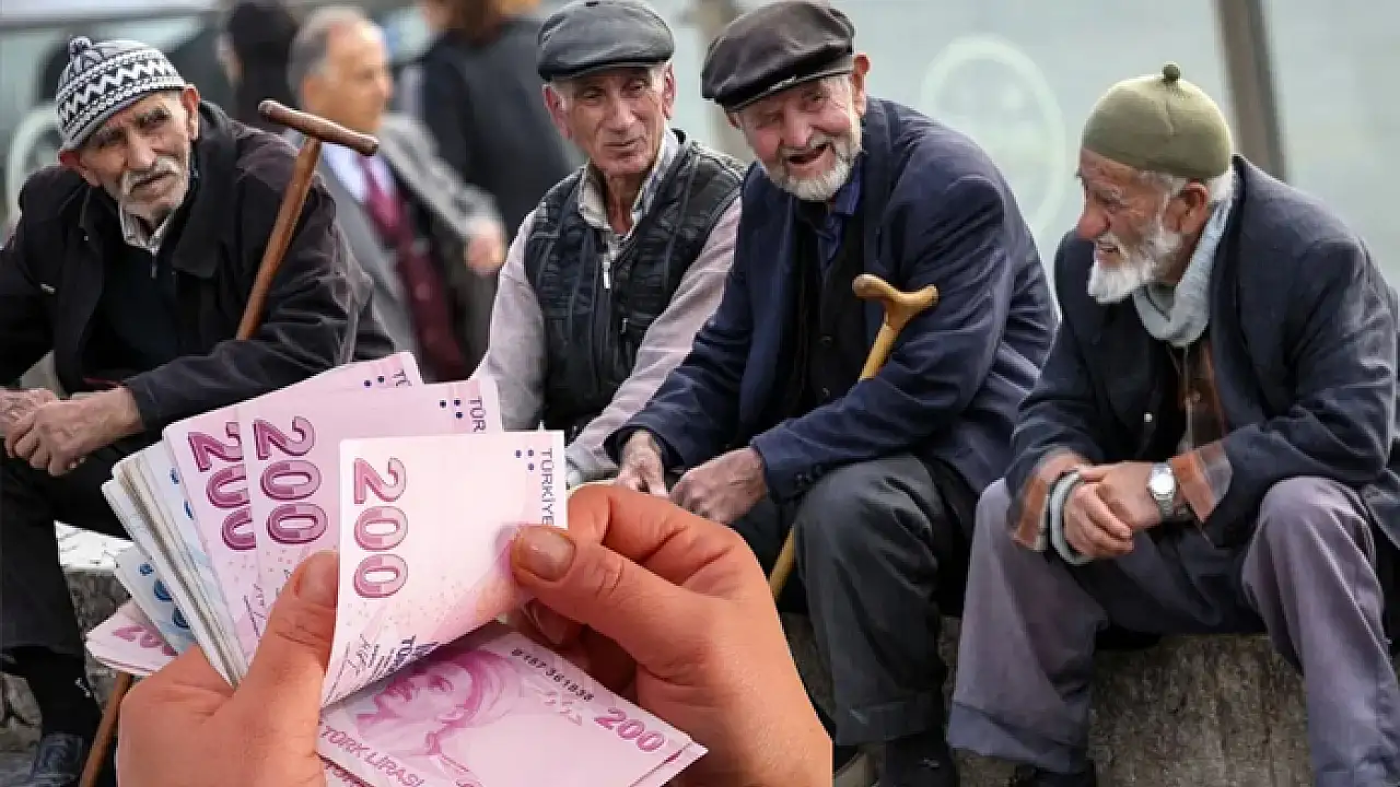 Emekli3-1