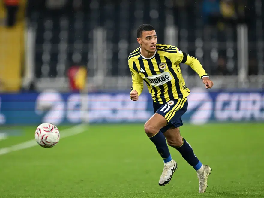 Fener1-1