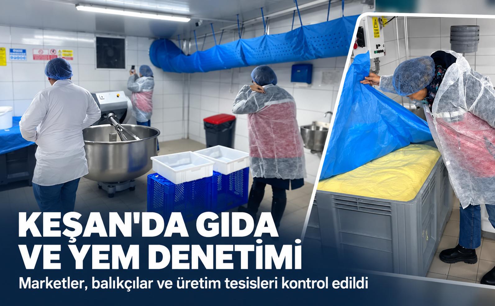 Gıda Denetimi
