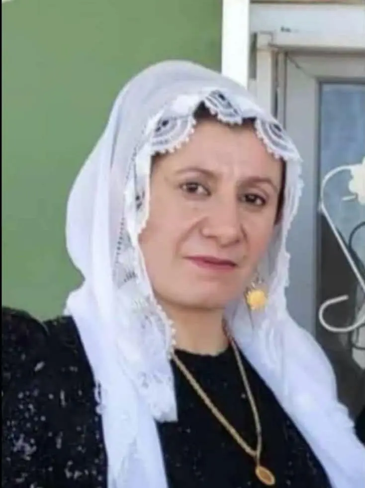 Halı1