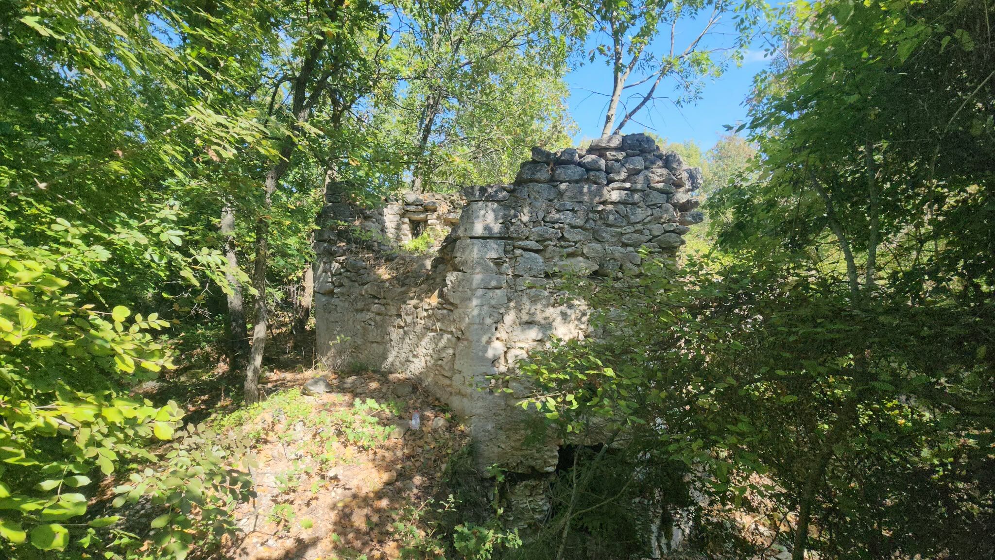 Kale12