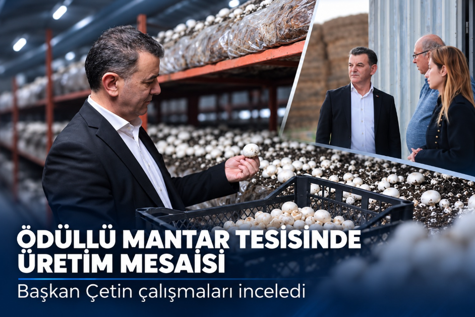 Kapaklı Mantarr