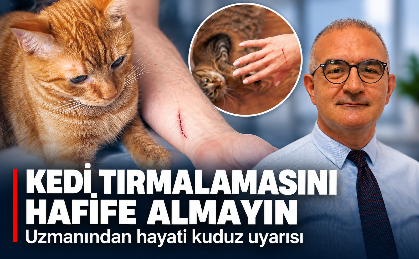 Kedi Uyarı