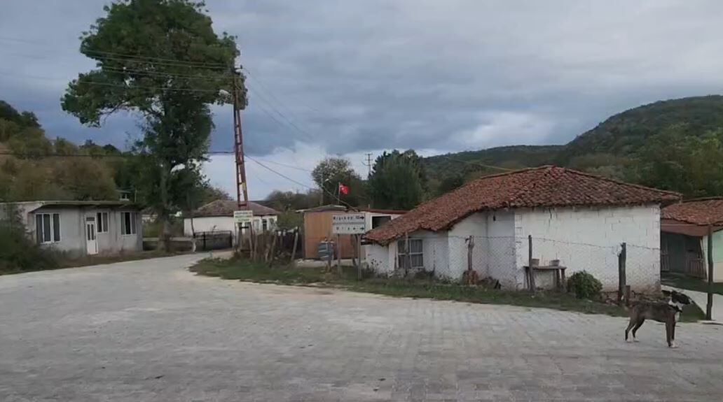 Köy1