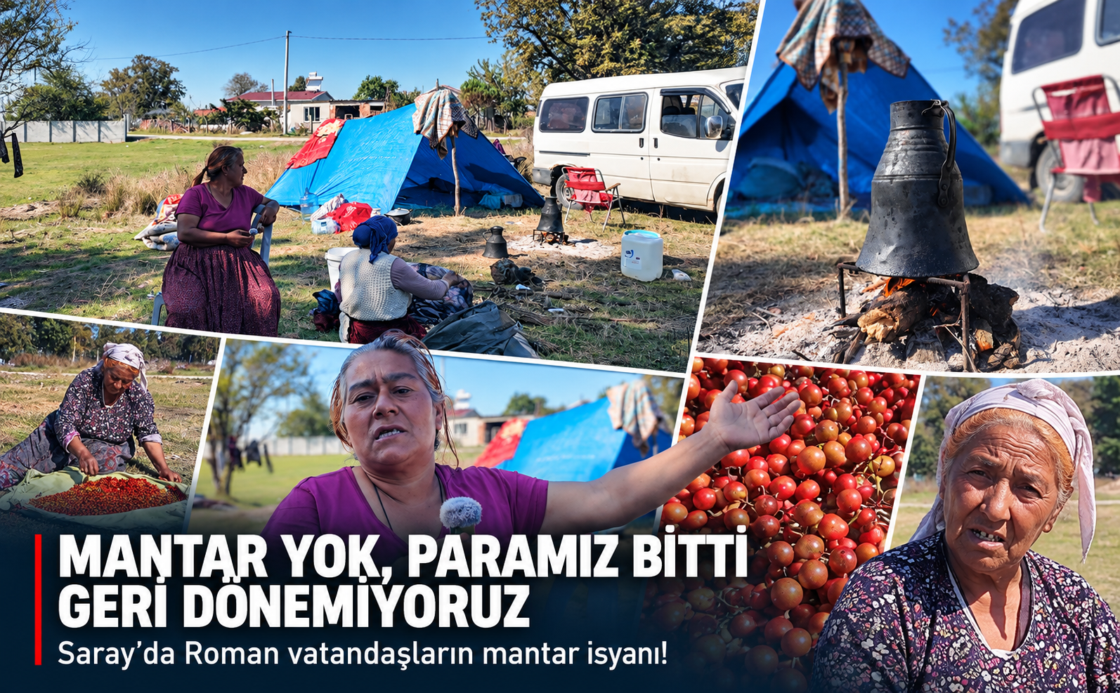 Mantar Yok