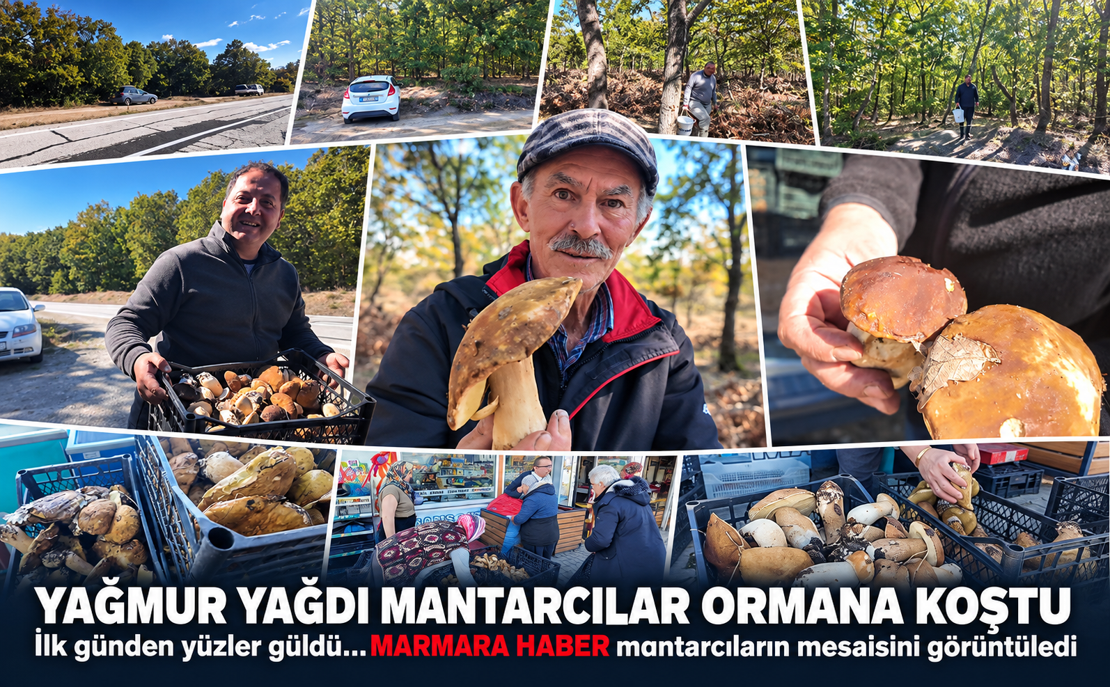 Mantarcılar