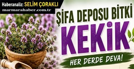 Selim Çoraklı