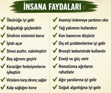 Selim Çoraklı2