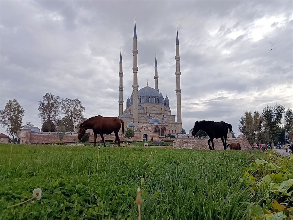 Selimiye2