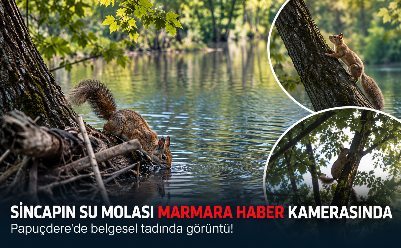 Sincap Görüntü