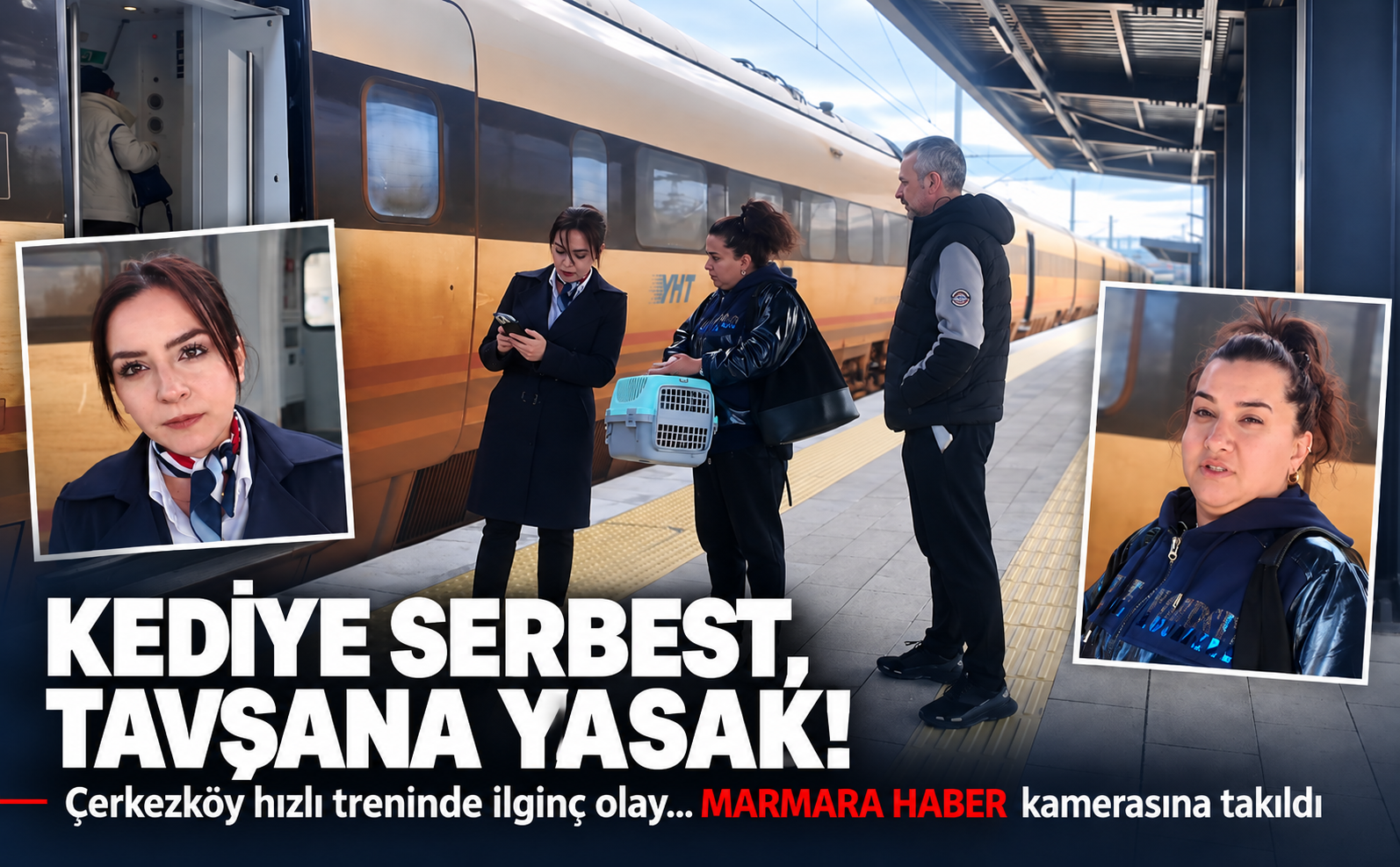 Tren Tavşan